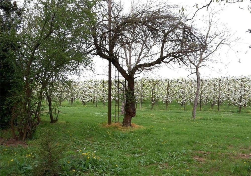 Willa Agriturismo Dosso Al Porto Rolo Zewnętrze zdjęcie