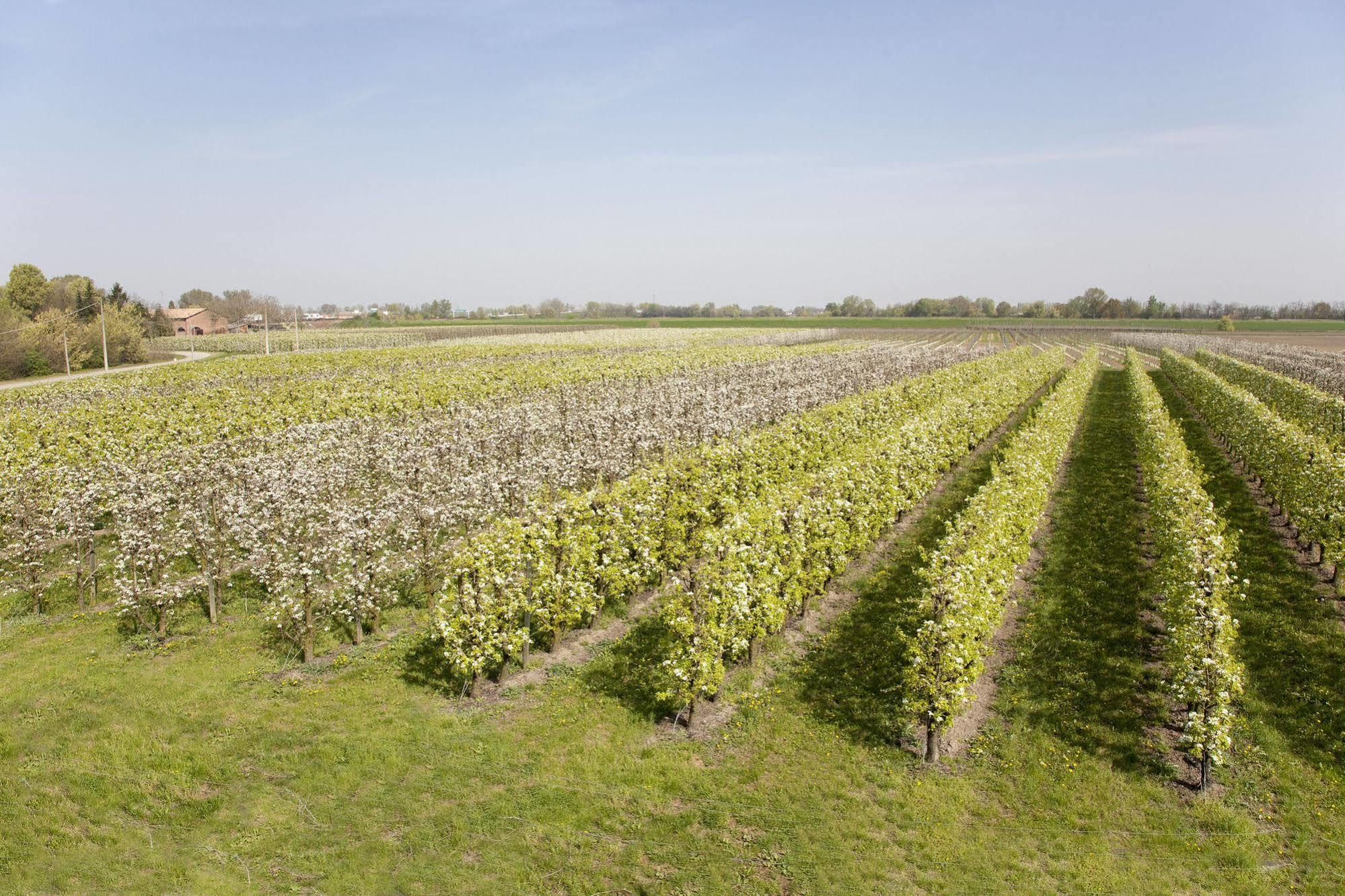 Willa Agriturismo Dosso Al Porto Rolo Zewnętrze zdjęcie